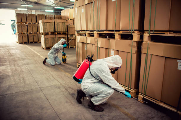 Best Exterminator Services  in Owensville, MO