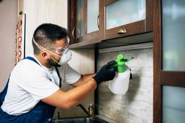 Best Pest Control Near Me  in Owensville, MO