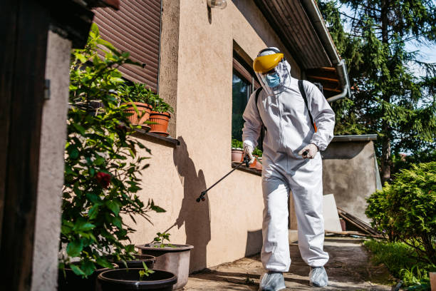 Best Wasp Removal Services  in Owensville, MO