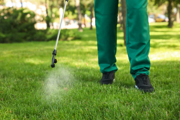 Best Flea Control Services  in Owensville, MO
