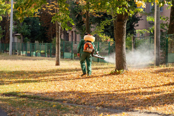 Best Pest Prevention Services  in Owensville, MO