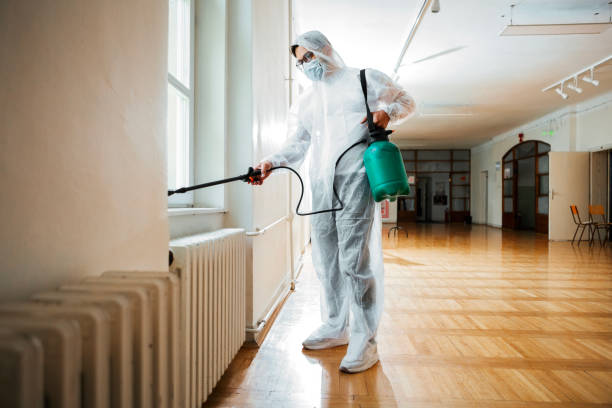 Best Bed Bug Extermination  in Owensville, MO