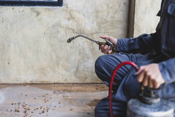Best Best Pest Control Companies  in Owensville, MO